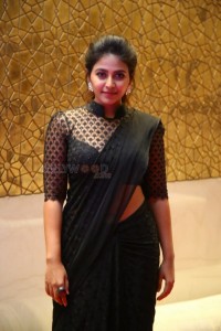 Anjali at Disney Plus Hotstar Mana Vinoda Vishwam Parampara Press Meet Pictures 01