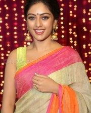 Anu Emmanuel Beautiful In Saree Photos