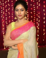Anu Emmanuel Beautiful In Saree Photos