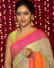 Anu Emmanuel Beautiful In Saree Photos