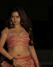 Anu Emmanuel Hot Pics