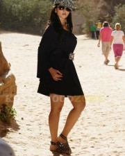 Anushka Shetty 1380 Anuksha Shetty Sexy And Hot Pictures