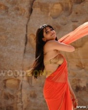 Anushka Shetty 1377 Anuksha Shetty Sexy And Hot Pictures