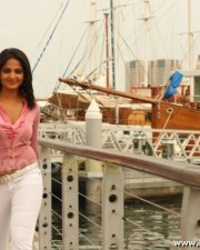 Anushka Shetty 1343 Anuksha Stills