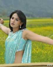Anushka Shetty 1148 Anushka Sexy Saree Pictures