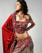 Anushka Sharma Sultry Picture