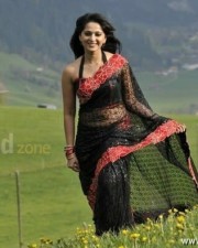 Anushka Shetty 1041 Anushka Shetty Latest Pictures
