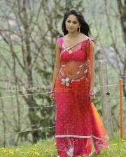 Anushka Shetty 1025 Anushka Shetty Latest Sexy Pictures