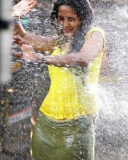 Anushka Shetty 1007 Anushka Shetty Photos