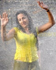 Anushka Shetty 1005 Anushka Shetty Photos
