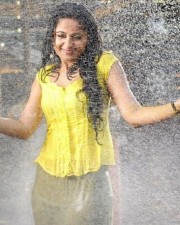 Anushka Shetty 1004 Anushka Shetty Photos
