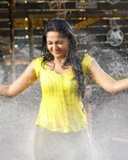 Anushka Shetty 1003 Anushka Shetty Photos