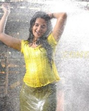 Anushka Shetty 1002 Anushka Shetty Photos