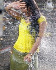 Anushka Shetty 986 Anushka Shetty Photos