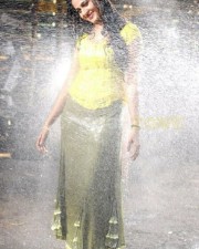 Anushka Shetty 979 Anushka Shetty Photos