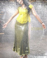 Anushka Shetty 977 Anushka Shetty Photos