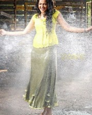 Anushka Shetty 973 Anushka Shetty Photos