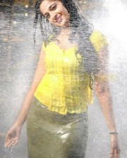 Anushka Shetty 971 Anushka Shetty Photos