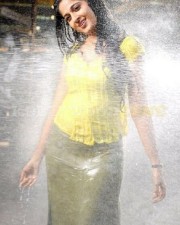 Anushka Shetty 969 Anushka Shetty Photos