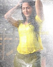 Anushka Shetty 964 Anushka Shetty Photos