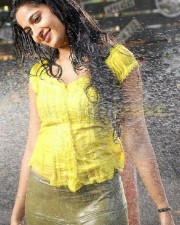 Anushka Shetty 963 Anushka Shetty Photos