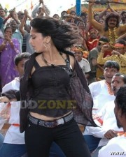 Anushka Shetty 900 Anushka Shetty Sexy Pics In Panchakshari Movie