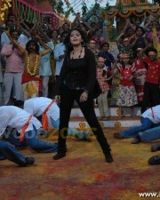 Anushka Shetty 888 Anushka Shetty Sexy Pics In Panchakshari Movie