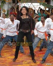 Anushka Shetty Sexy Pics In Panchakshari Movie