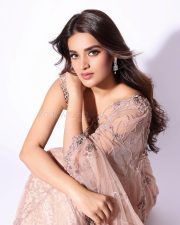 Attractive Nidhhi Agerwal in a Blush Pink Saree with a Matching Sleeveless Sequined Blouse Photos 06