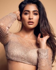 Beast Movie Heroine Pooja Hegde Sexy Cute Pictures