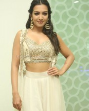 Catherine Tresa 973 Beautiful Actress Catherine Tresa Photos