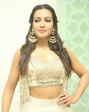 Catherine Tresa 958 Beautiful Actress Catherine Tresa Photos