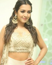 Catherine Tresa 954 Beautiful Actress Catherine Tresa Photos