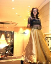 Nandita Swetha 58 Beautiful Actress Nandita Photoshoot Pictures