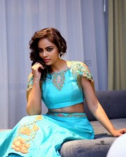 Nandita Swetha 55 Beautiful Actress Nandita Photoshoot Pictures