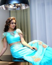Nandita Swetha 53 Beautiful Actress Nandita Photoshoot Pictures