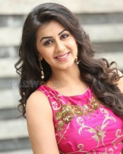 Nikki Galrani 31 Beautiful Actress Nikki Galrani Photoshoot Pictures