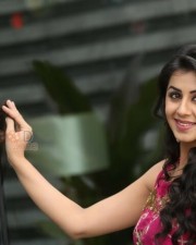 Nikki Galrani 23 Beautiful Actress Nikki Galrani Photoshoot Pictures
