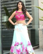 Nikki Galrani 16 Beautiful Actress Nikki Galrani Photoshoot Pictures