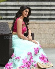 Nikki Galrani 15 Beautiful Actress Nikki Galrani Photoshoot Pictures