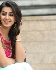 Nikki Galrani 4 Beautiful Actress Nikki Galrani Photoshoot Pictures