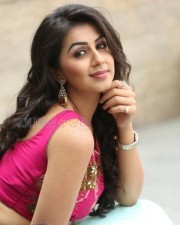 Nikki Galrani 2 Beautiful Actress Nikki Galrani Photoshoot Pictures