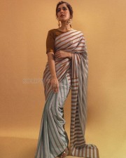 Raashii Khanna 29 Beautiful Actress Raashi Khanna Saree Photoshoot Pictures