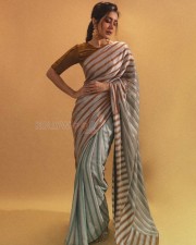 Raashii Khanna 28 Beautiful Actress Raashi Khanna Saree Photoshoot Pictures