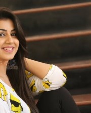 Nikki Galrani 31 Beautiful And Sexy Actress Nikki Galrani Photoshoot Stills