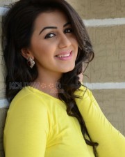 Nikki Galrani 37 Beautiful And Sexy Actress Nikki Galrani Photoshoot Stills