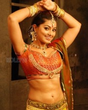 Beautiful And Sexy Sneha Photos
