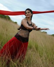 Beautiful Anushka Shetty Spicy Pictures 03