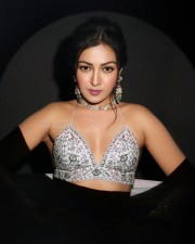 Beautiful Catherine Tresa in a Jewelled Bra Pictures 02