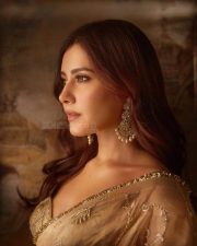 Beautiful Elegant Raashii Khanna in a Golden Saree with a Matching Embroidered Gold Blouse Photos 03